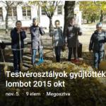 lomb