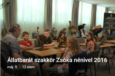 állati