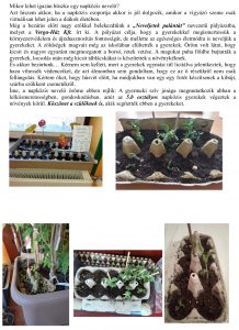 palánta_cikk2